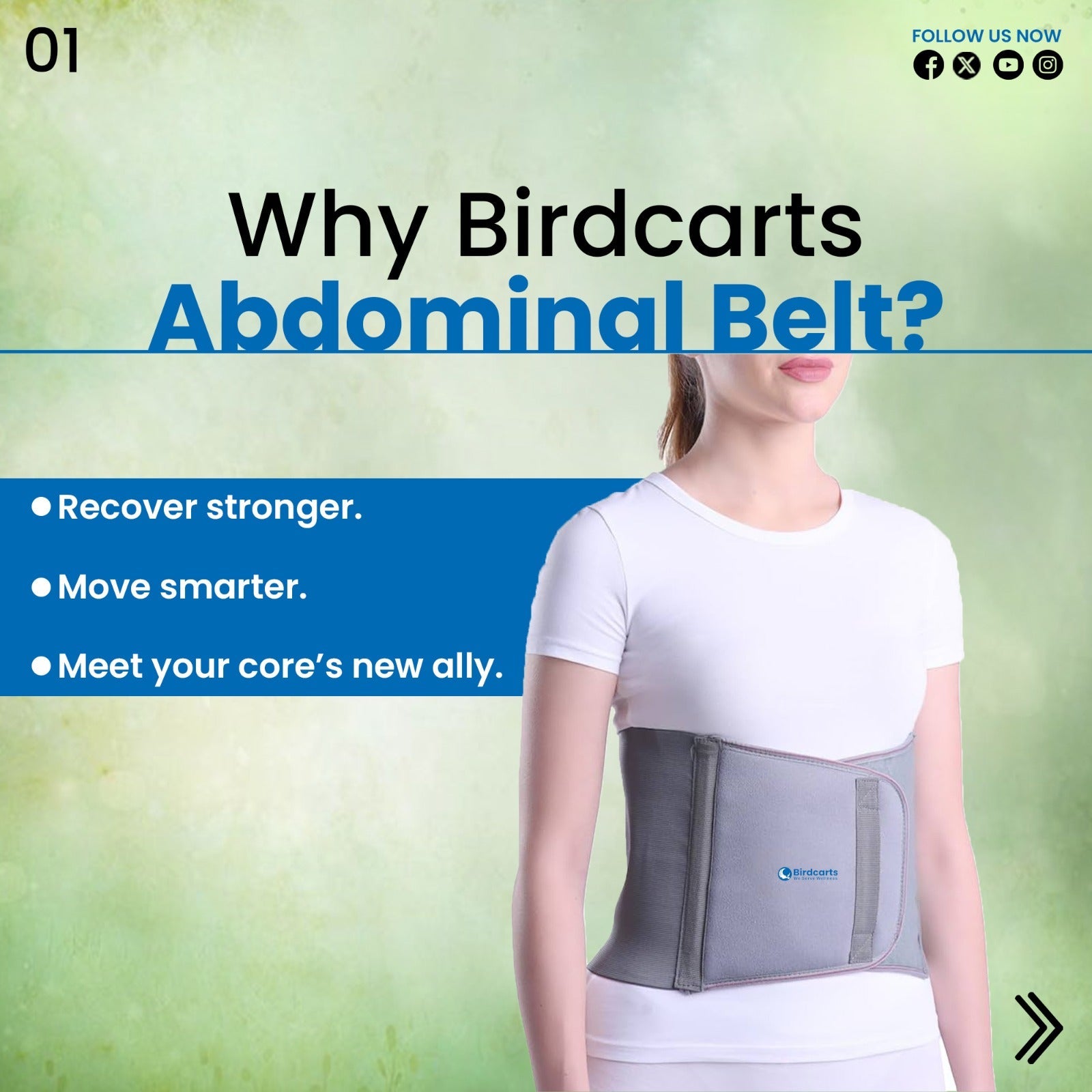 Birdcarts Abdominal Belt - Birdcarts