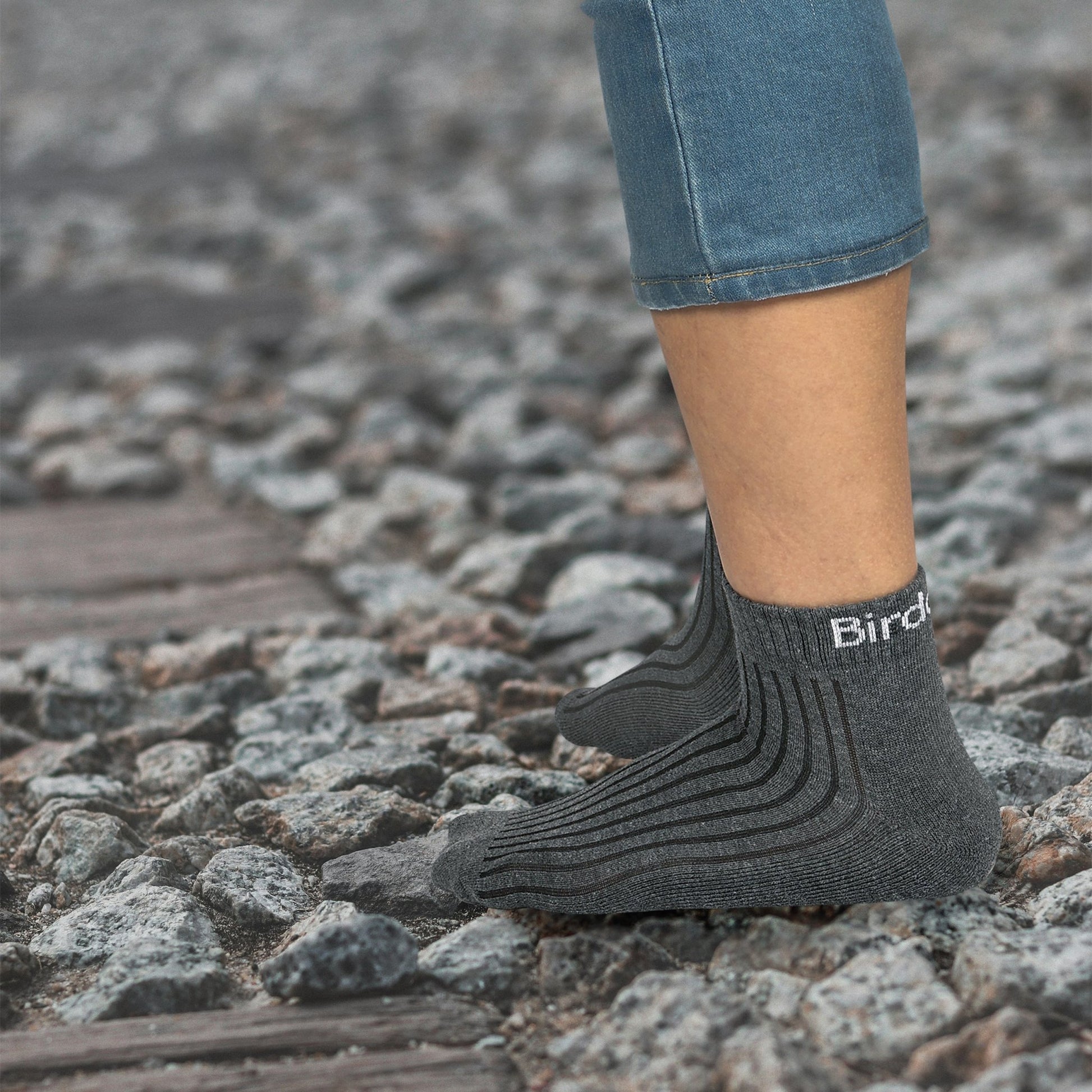 Birdcarts Ankle Socks Ribbed - 5 pair - Birdcarts