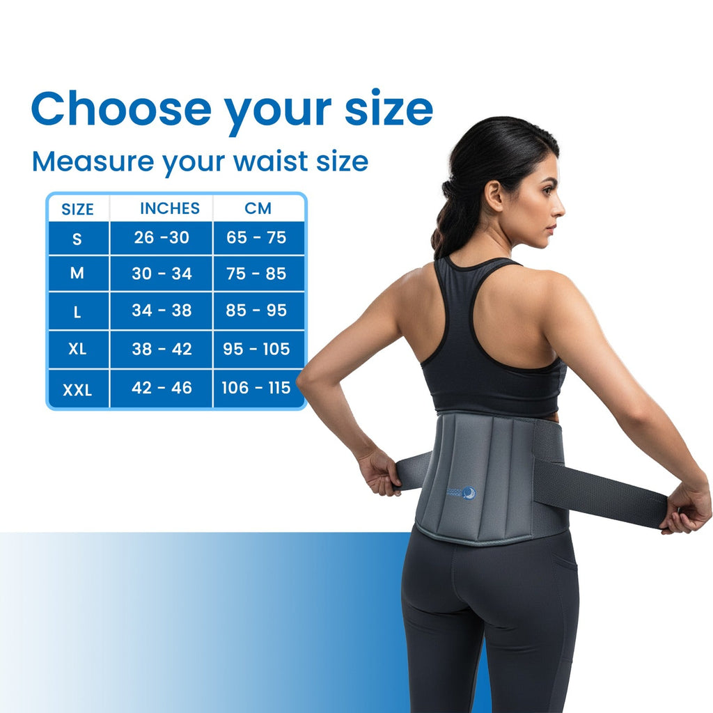 Birdcarts Lumbo Sacral Belt - Grey - Birdcarts 