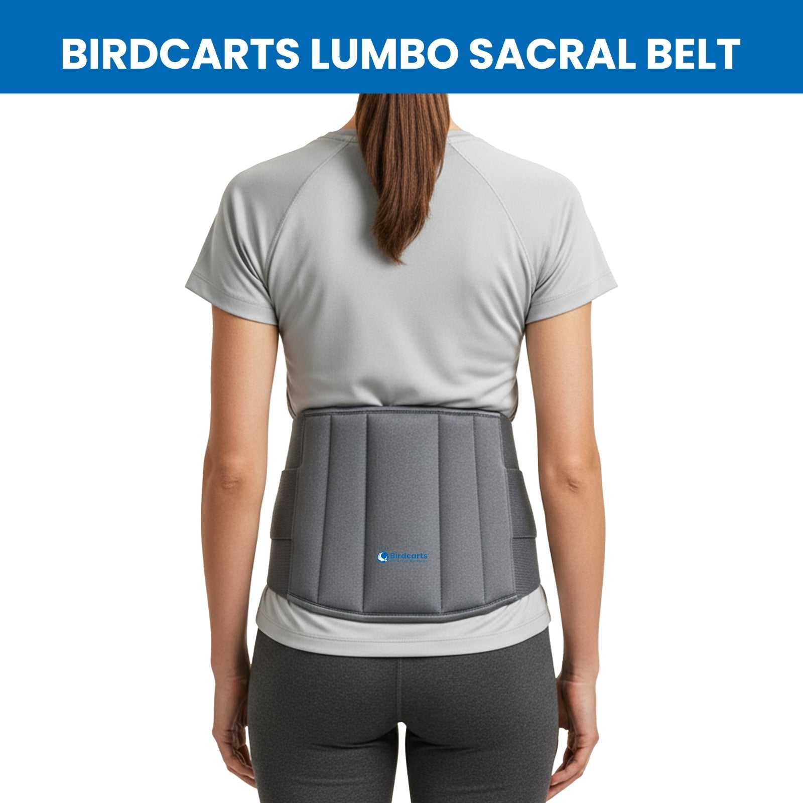 Birdcarts Lumbo Sacral Belt - Grey - Birdcarts 