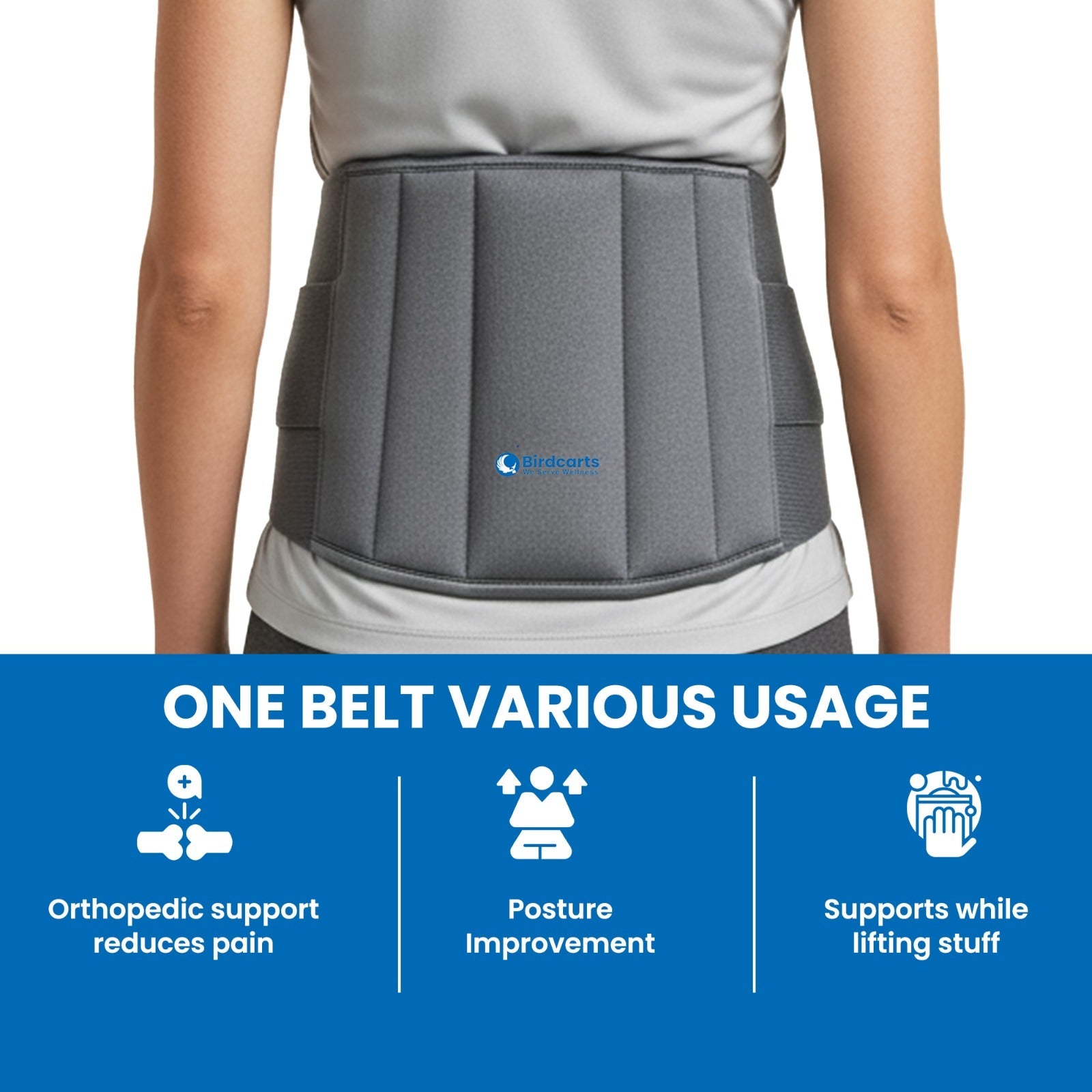 Birdcarts Lumbo Sacral Belt - Grey - Birdcarts 