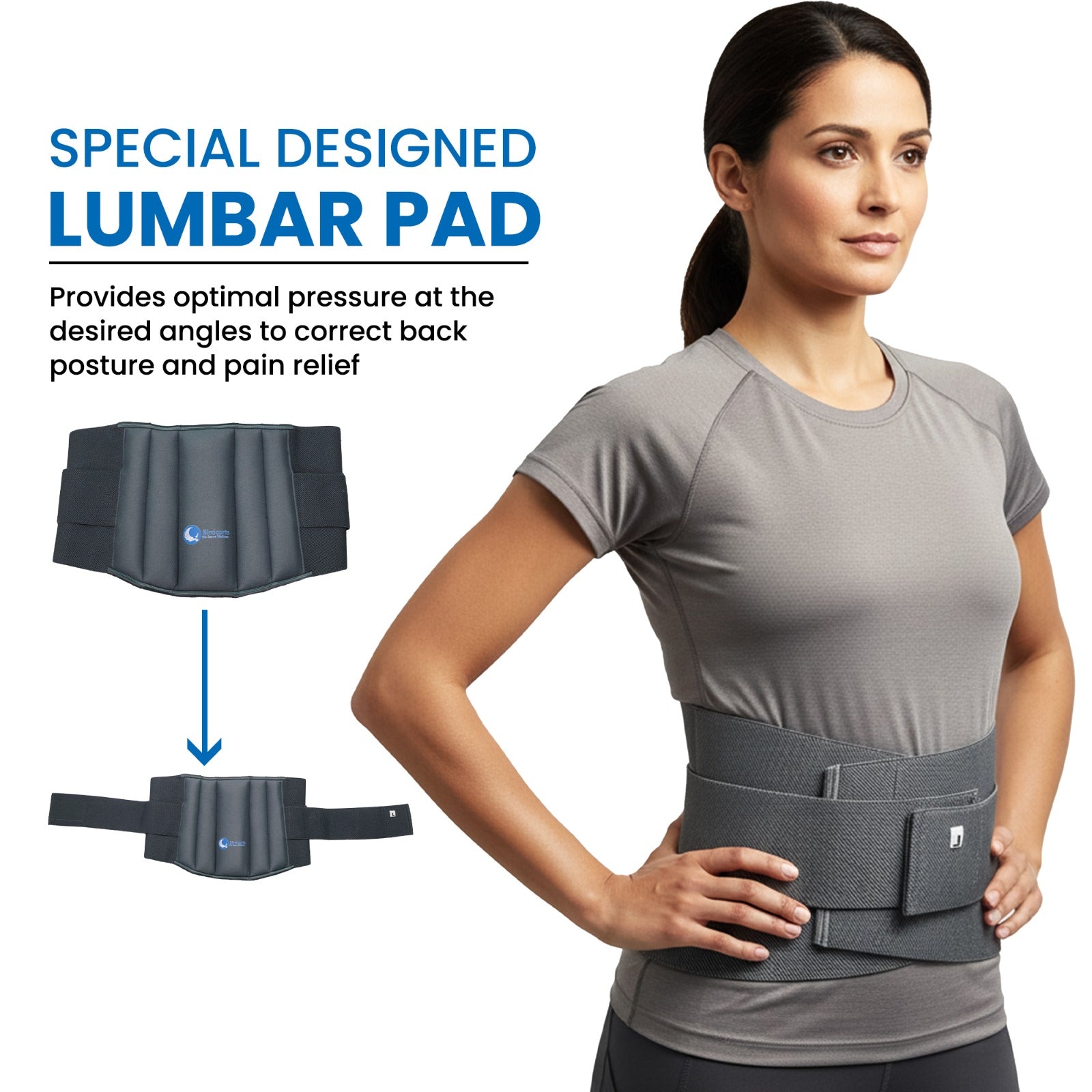 Birdcarts Lumbo Sacral Belt - Grey - Birdcarts 