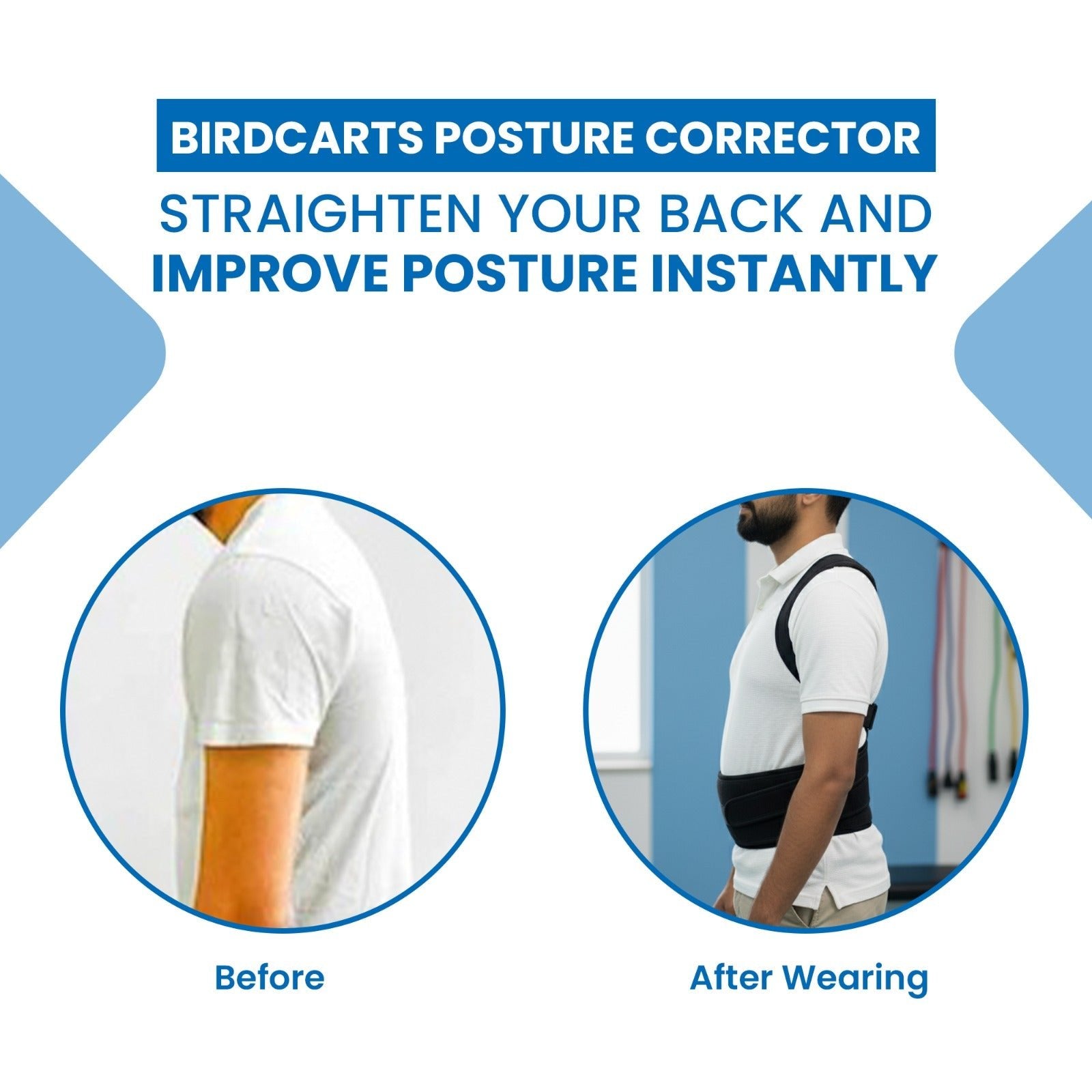 Birdcarts Posture Corrector Belt - Birdcarts